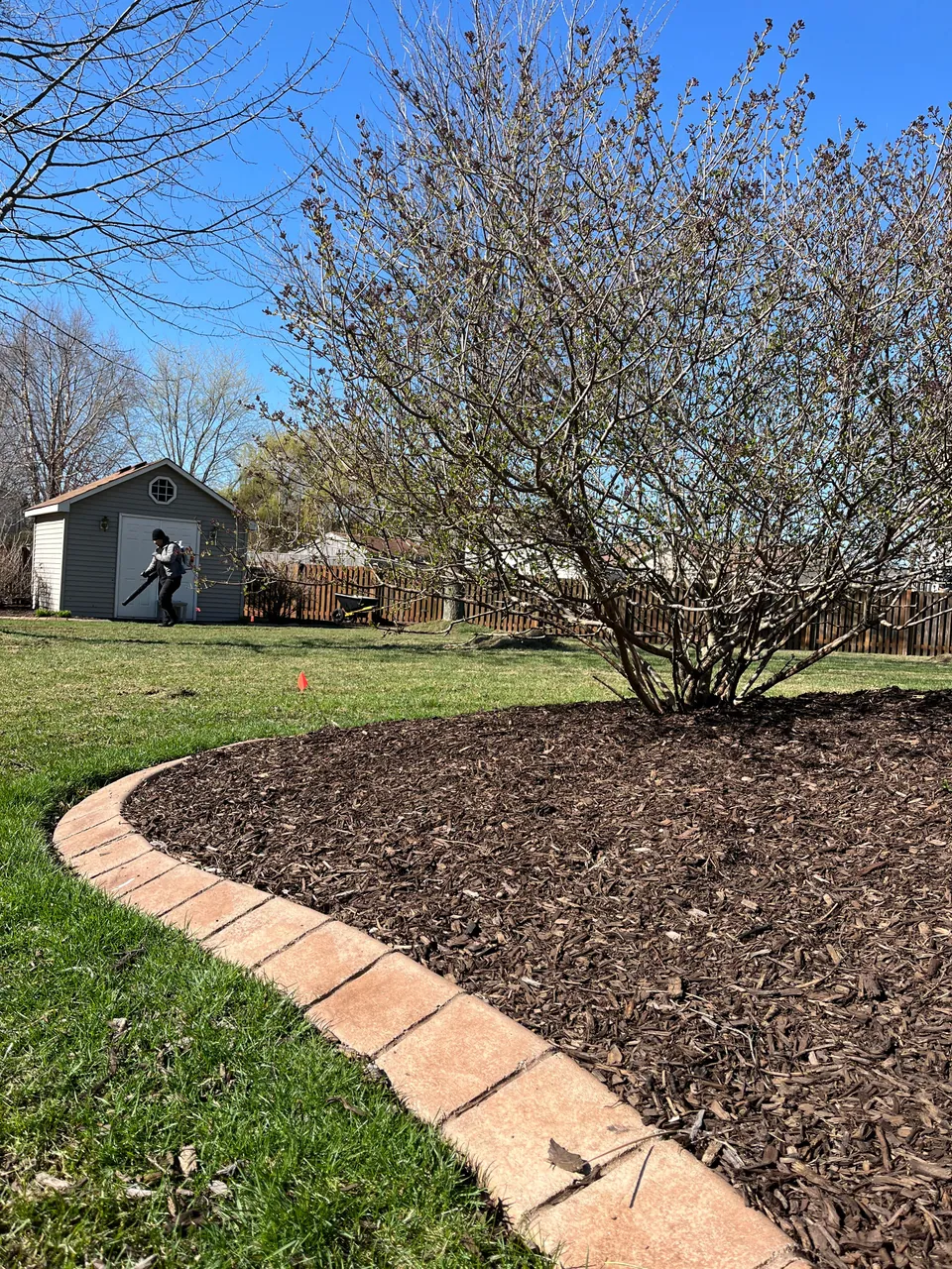 Another view of the curved mulch bed beside a backyard fence