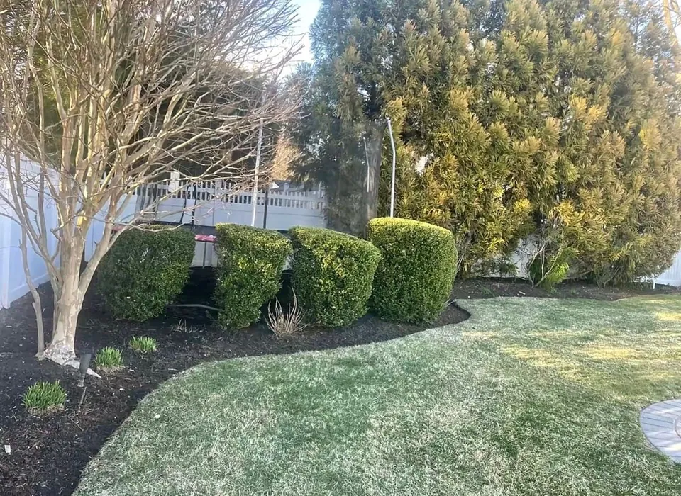 Trimmed shrubs and a curved mulch bed beside a backyard lawn