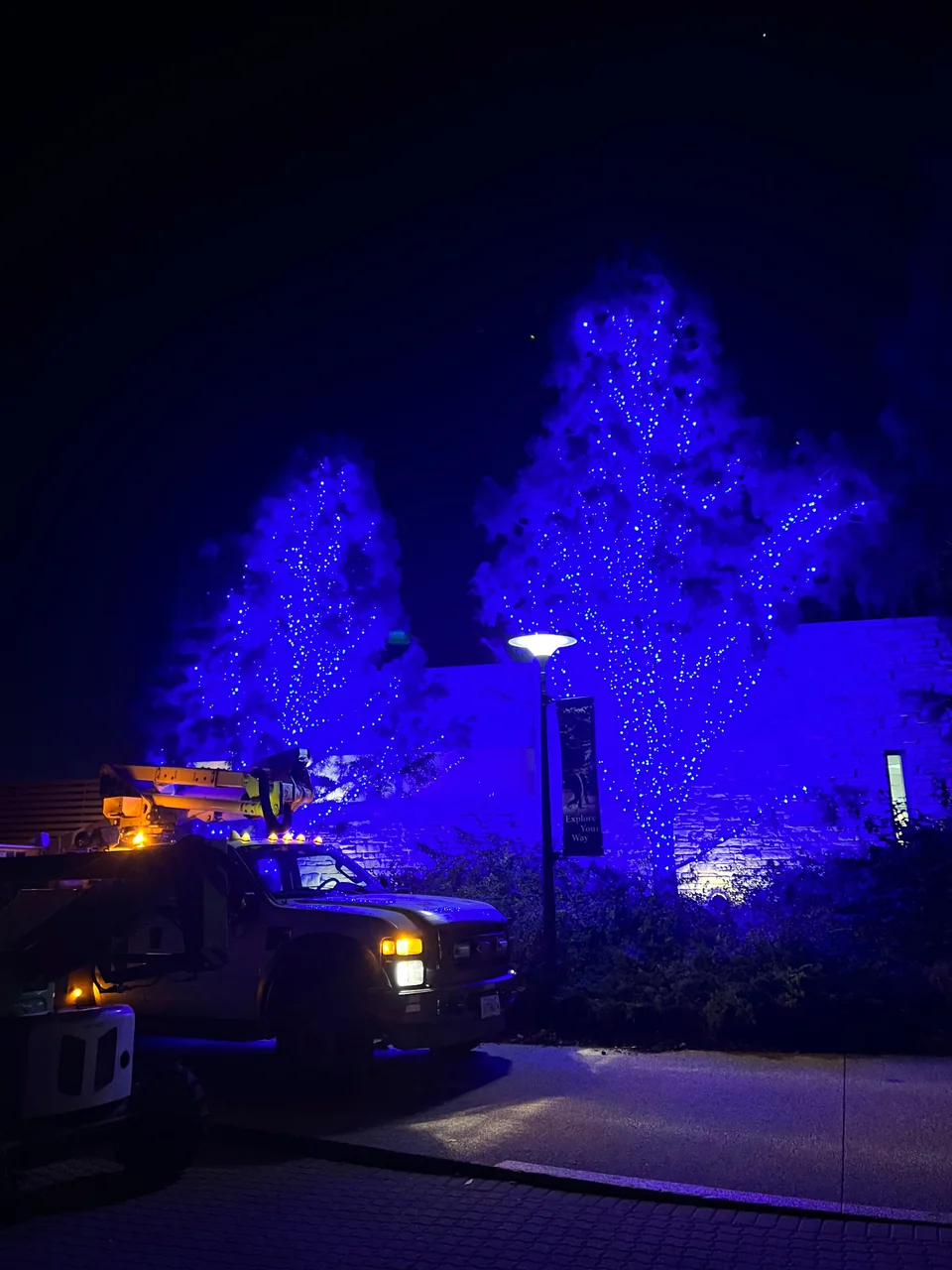 Blue-lit trees beside a stone wall and utility truck