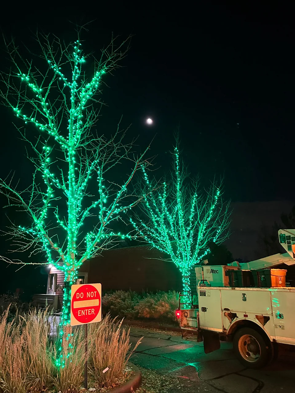Green lights on bare tree trunks beside a utility truck