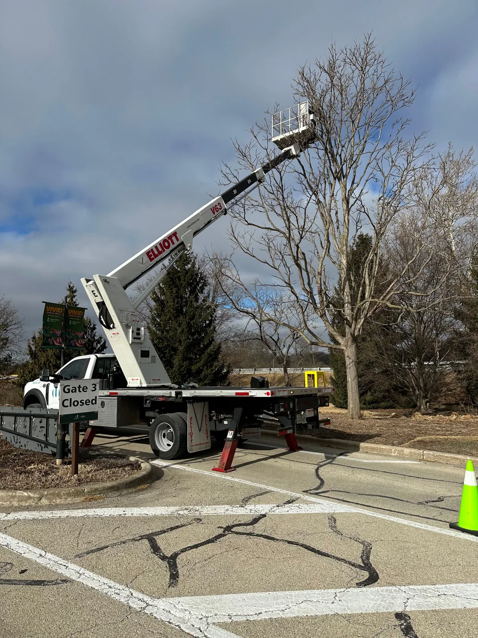 Truck-mounted lift extended beside a tall bare tree