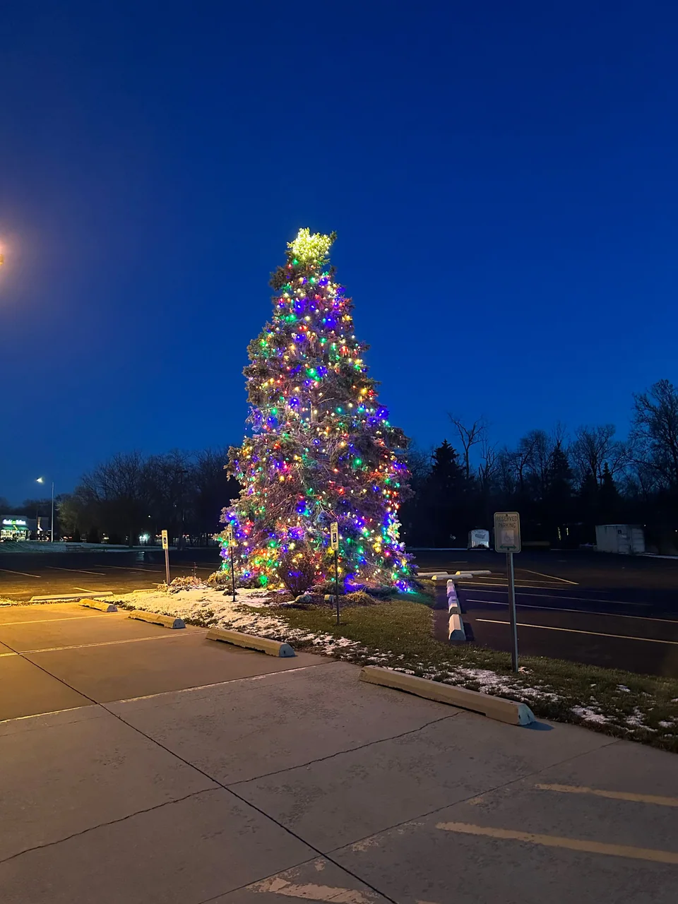 Multicolored lights and a bright topper on a parking-lot evergreen