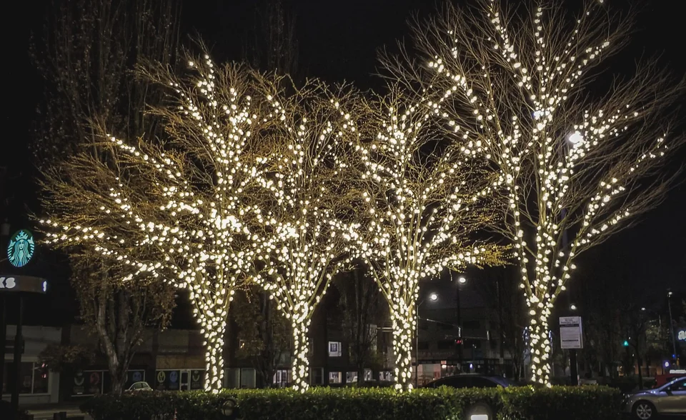Warm white bulbs wrapped around trees along a street