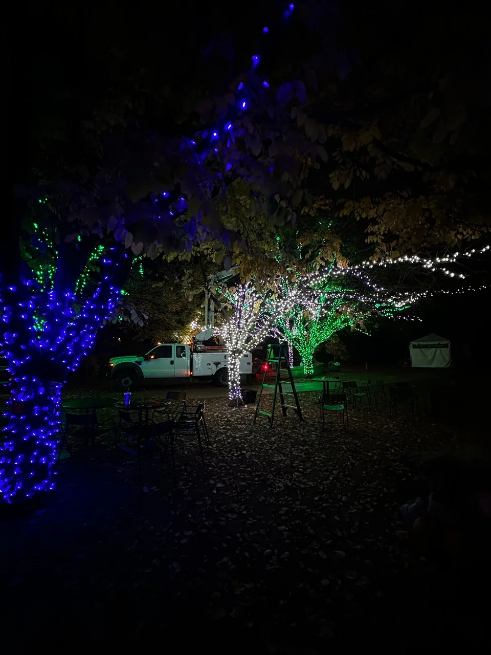 Blue, white and green tree lights beside a ladder and utility truck