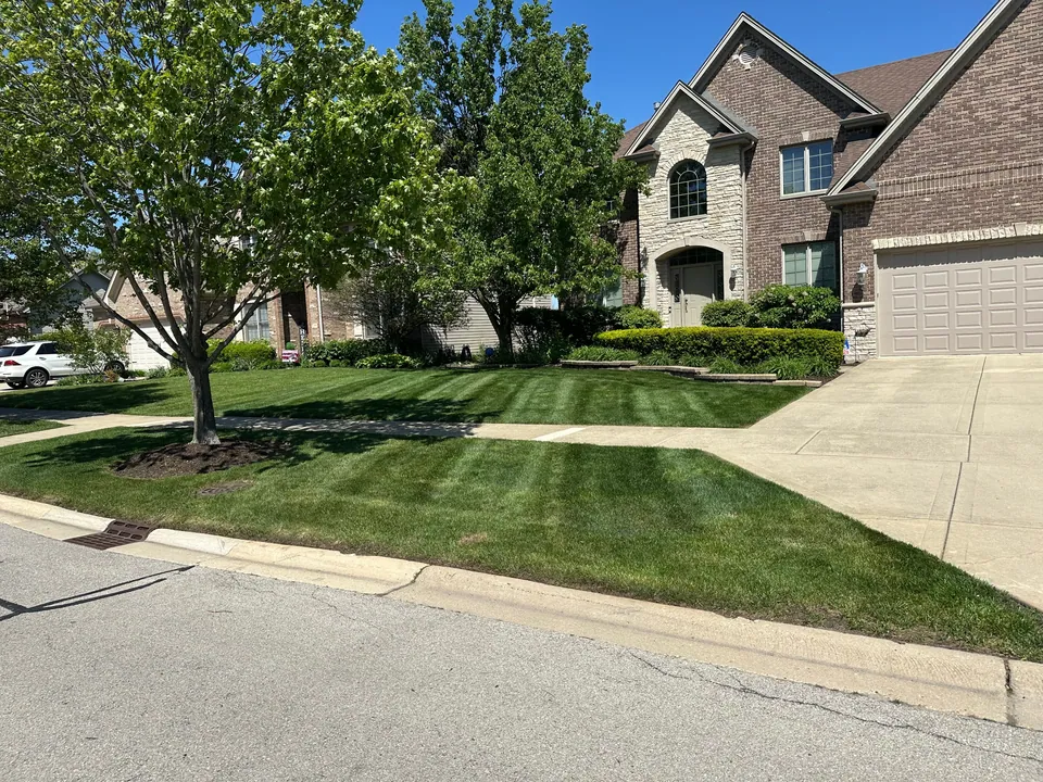 Striped front lawn and landscape beds beside a brick house