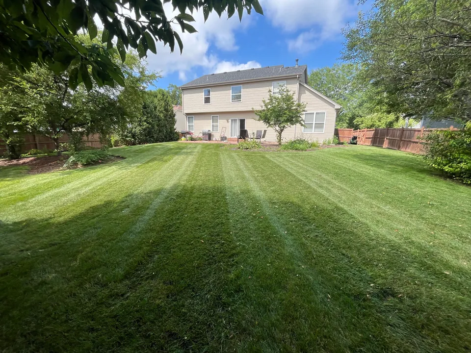 Mowed backyard lawn with alternating stripes beside a house and fence
