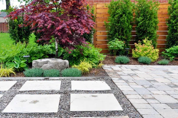 Square paving slabs beside shrubs and a red-leaf tree